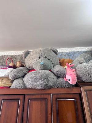 Teddy oyinchoq