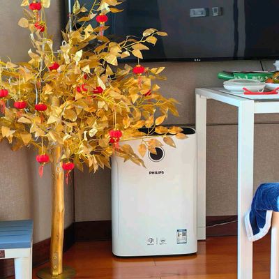 Philips 
AC 2726
80 m²
Ochistitel i Uvlajnitl
260$