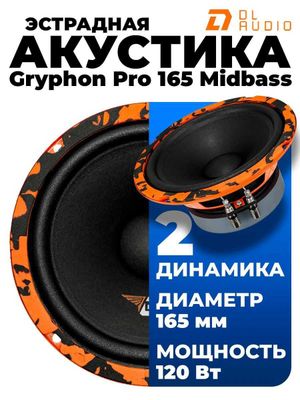 dl audio gryphon pro 165 midbass