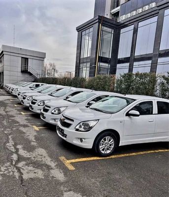 Cobalt peniya va ribolarsiz