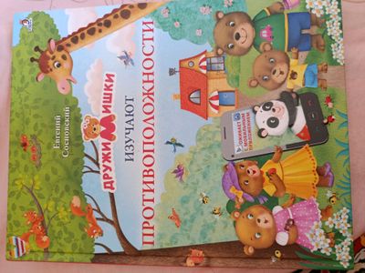 книга Дружи Мишки