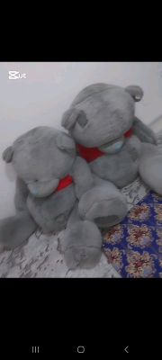 gigant teddybear