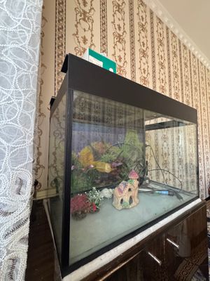 Аквариум