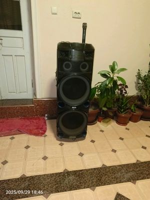Muzikalni sentir