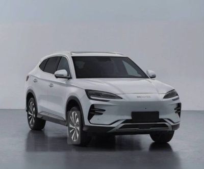 Byd champion 2025 smart drive