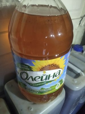 Semichka va paxta yogʻlari