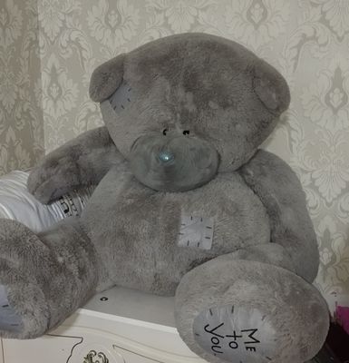 kotta teddy sotiladi