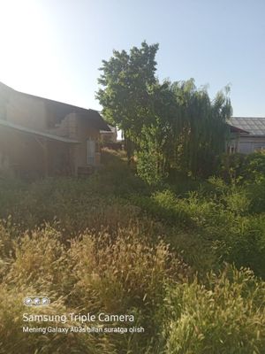 Jizzax Sh.Rashidov tuman. Uch tepa daxasi Yangi hayot maxallasi