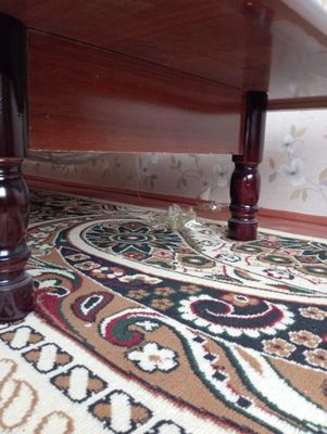 Большой красивый уютный стол для вашей гостиной
