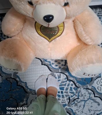 Teddy sotiladi 400 ming