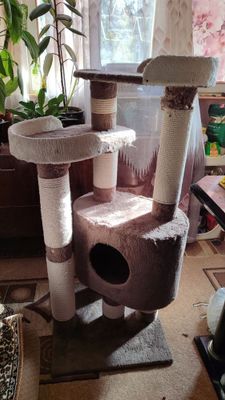 Домик для кошки