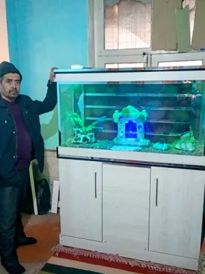 Большой аквариум