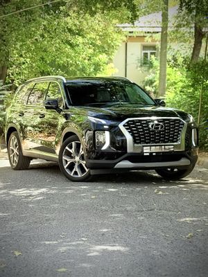 Hyundai Palisade Qora va Oq rangi bor