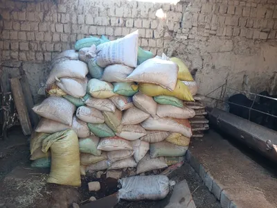 Куй гунши пориси