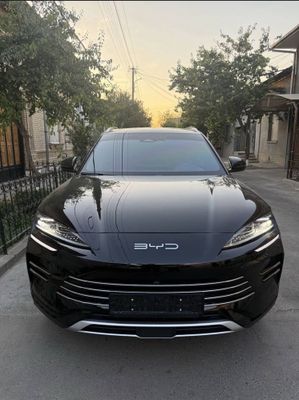 Byd chempion gibrid