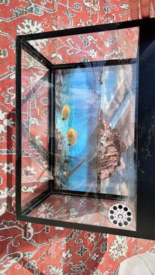 Аквариум хорошее состояние