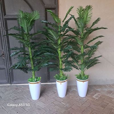 Dekorativni daraxt gullar tayyorlab beriladi