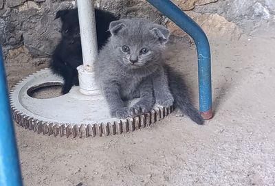 Manzil: Buxoro viloyati Kogon shahri