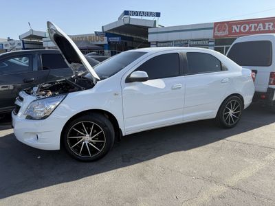 kobalt sotilad 2018