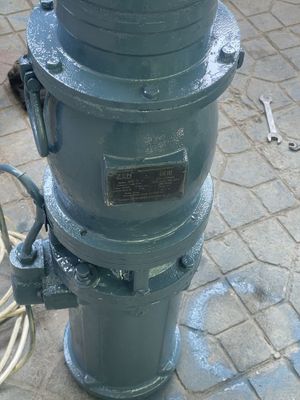 Gulibiniy nasos hitoy
