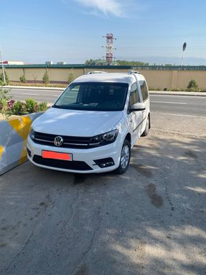 Trendline full pozitsiya 2020 yil
