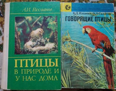 Птицы. Попугай. Полезные книги.