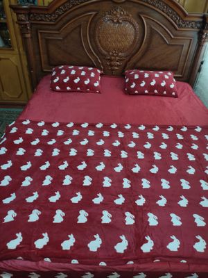 Momiq komplekt