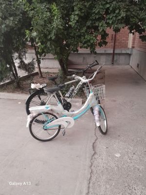 Velosiped neksus