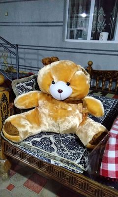 мишка новая