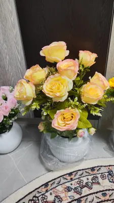 suney gular darxtlar optim narxlarda