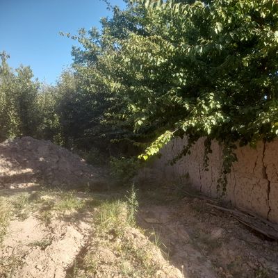 Toshkent Yangihayot Minerva city torsdagi mahala 4 sotih yer sotiladi