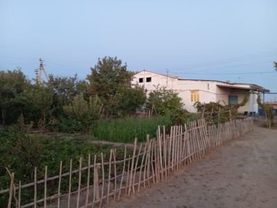 Xojeli amiwdarya xatep apj