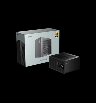Ocypus Power Supply P1000 Gold Plus