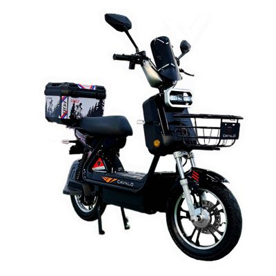 Elektroskuter Cavalo JJK-X10