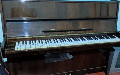 PETROF pianino sotiladi