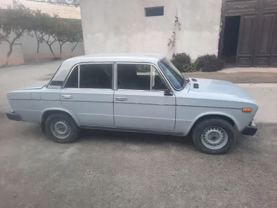 naqtga sotiladi ozgina kami bor gen boʻladi