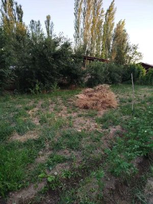 Yuqori Chirchiq tumanida kanal yon bagrida uchastka salqin