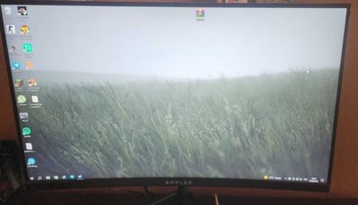 Ziffler curved 24 100 герц