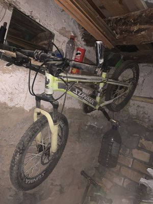 Velosaped eski xolati yaxwi