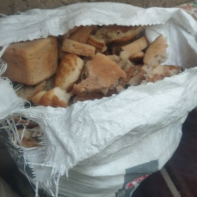 Quritlgan Non bor Mol Qo'ylarga