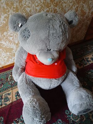 Teddy ayiq sotiladi yangi