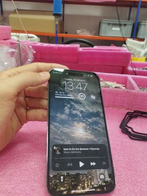 iPhone 14 Pro Max