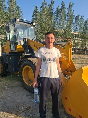 Погрузчик Laigong LG938