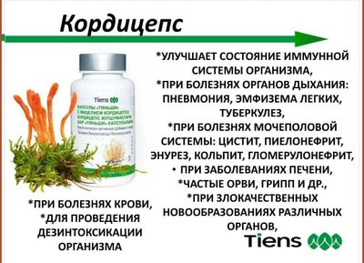 Кордицепс Тяньши для укрепления иммунитета