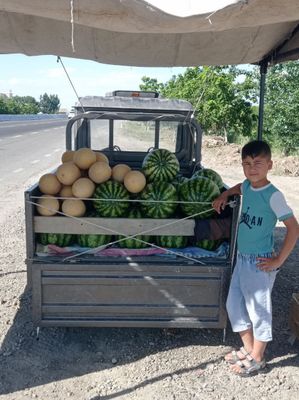 Електро муравей сотилади