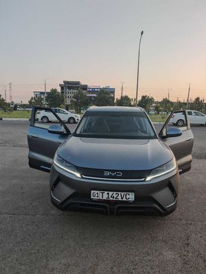 BYD YUAN UP 2024 official variant