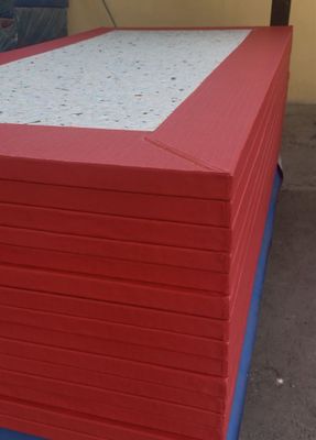 Dzyudo gilami, tatami / Татами для дзюдо