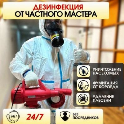 Дезинфекция элитных домов квартир уничтожаем всех ведь насекомых