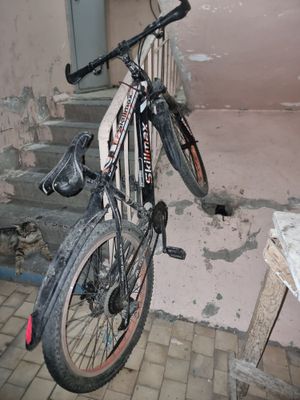 Velik 26 gonchik