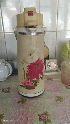 Термос пневмонический
